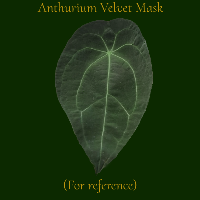 Anthurium Silver Blush cross Velvet Mask